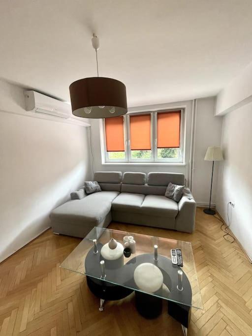  cozy Apartment